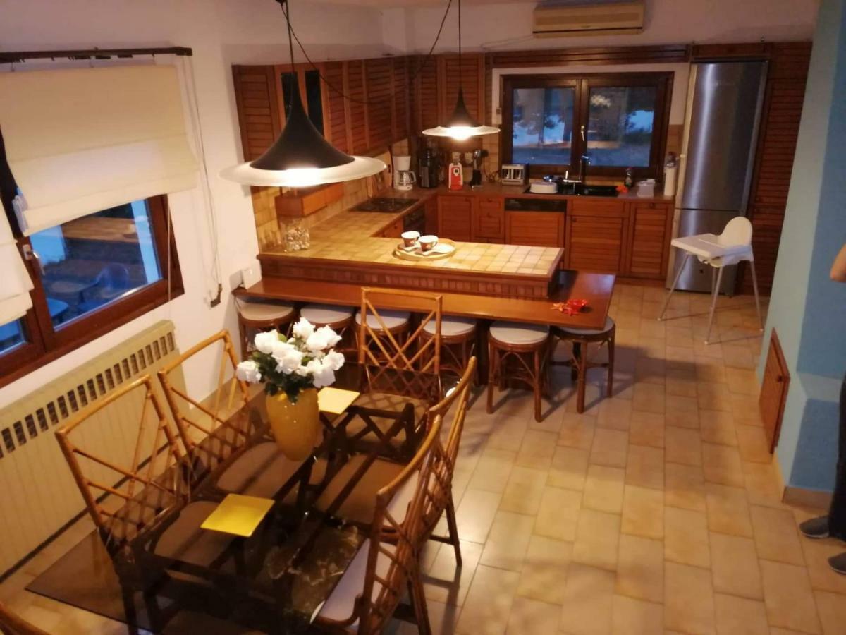 Seagull Villa Chalkidiki Пефкохори Экстерьер фото