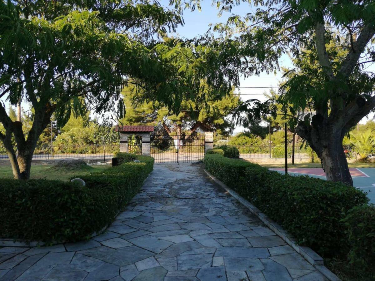 Seagull Villa Chalkidiki Пефкохори Экстерьер фото