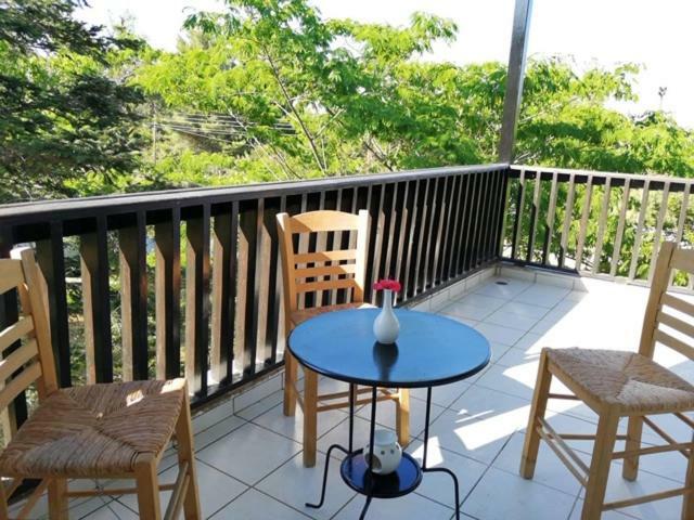 Seagull Villa Chalkidiki Пефкохори Экстерьер фото