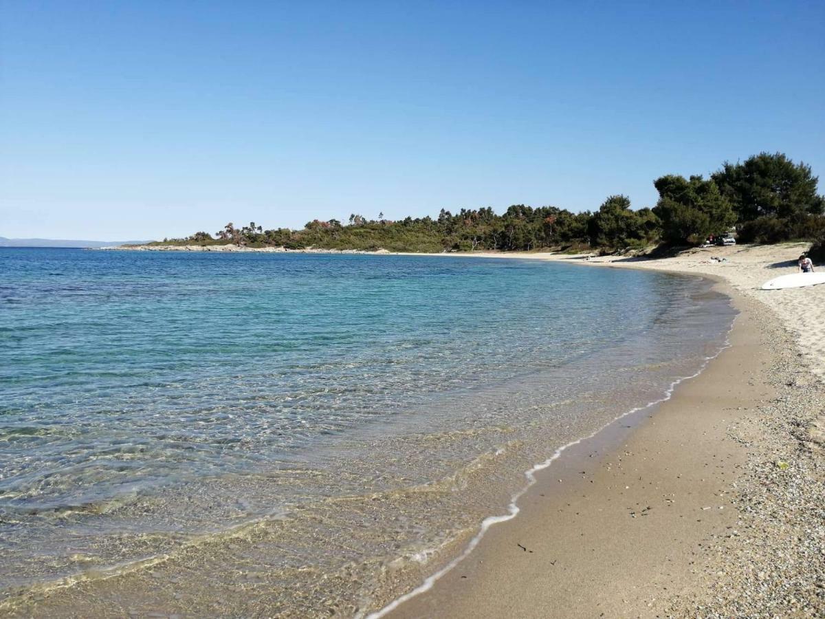 Seagull Villa Chalkidiki Пефкохори Экстерьер фото